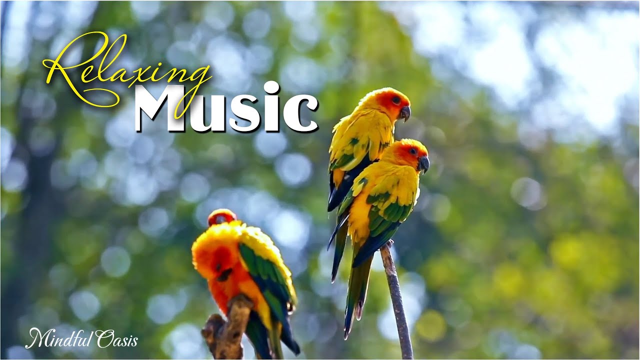Soothing Piano Melodies: Natural Birdsong and Gentle Water Sounds