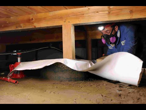 What Our Crew is up to in McMinnville, OR