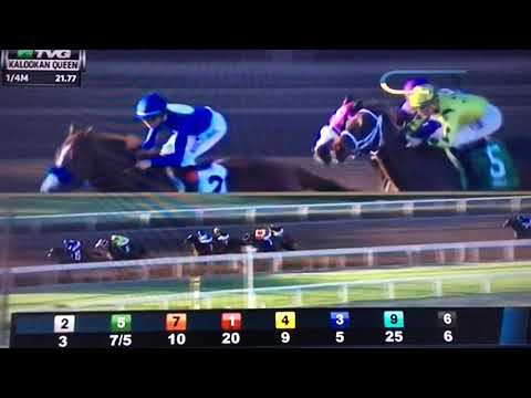 KALOOKAN QUEENS (G STAKES) 1/14/18 - SELCOURT !!!