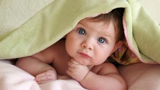 Top 10 Video Innocence of children 2016