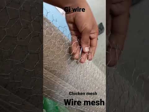 Galvanized Steel Wire Mesh