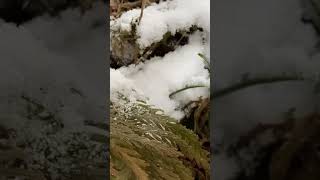 自然眺める