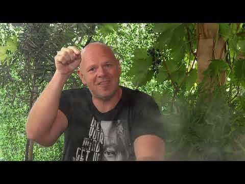 James Martin's Saturday Morning Series 5: Episode 34 Saturday 19th November 2022