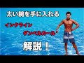 腕を太くしたい人必見!!上腕二頭筋を鍛えるインクラインダンベルカールのやり方解説!!!【筋トレ】