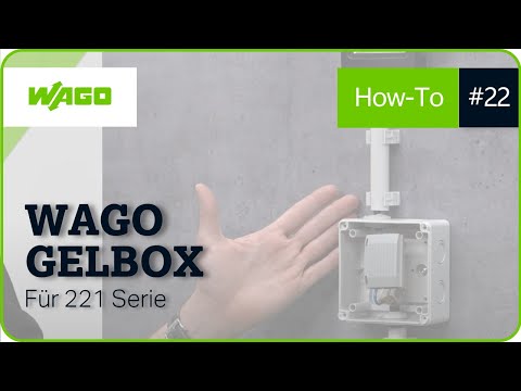 Gelbox für den Durchgangsverbinder der Serie 221 | Stay Connected