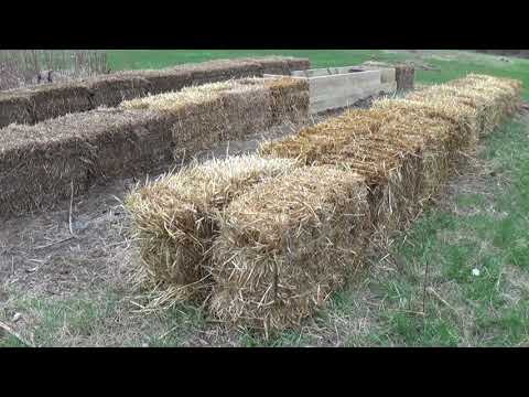 Straw Bale Gardening Conditioning Chart