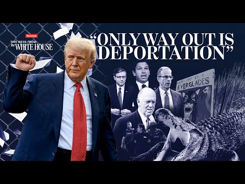 Alligator Border Patrol? Welcome To Trump’s ‘Alcatraz’