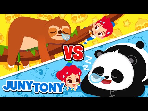 🐼 Panda vs. Kukang 🦥 | Lagu Hewan | Kartun Anak | Lagu Anak Anak | JunyTony Bahasa Indonesia
