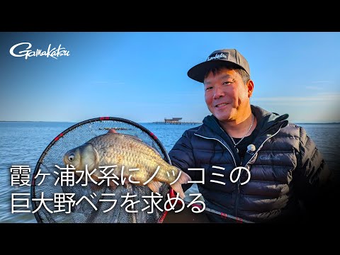 【G WORLD】＃41 霞ヶ浦水系にノッコミの巨大野ベラを求める