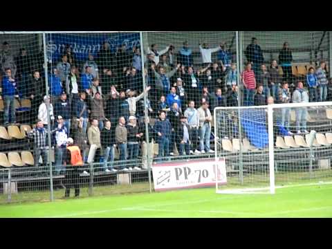 SInikaarti tammelassa