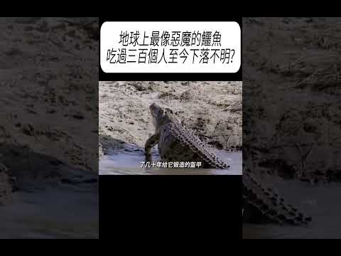地球上最像惡魔的鱷魚，吃過三百個人至今下落不明?#科普 #漲知識