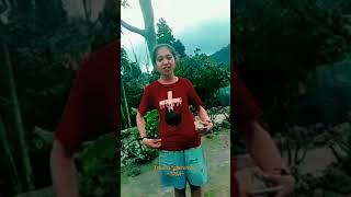 Download lagu Toja Tradisi orang Ende lio mp3 Download lagu Toja Tradisi orang Ende lio mp3