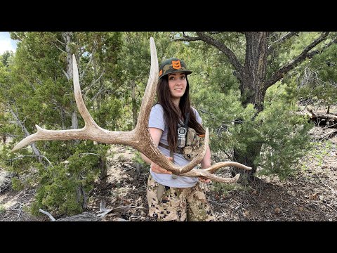 FOUND FRESH 7PT ELK SHED!! FINDING BROWNS | 2020 Shed Hunting Trip