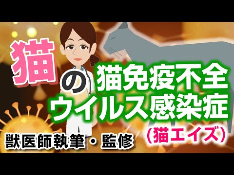 猫エイズ - 感染症、症状、治療