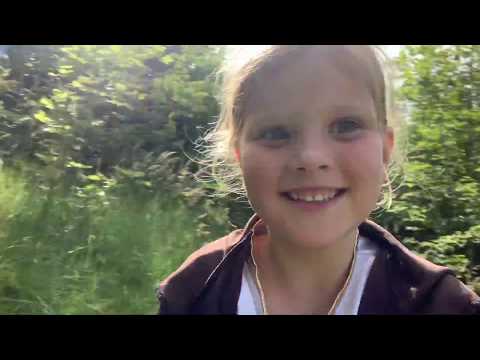 Lexi covers LOST IN THE WOODS from Frozen 2