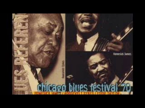 Thumbnail for Chicago Blues Festival 70 by Eddie Taylor
