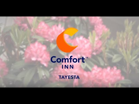 Where to go in Invercargill, South Island, NZ- Comfort Inn Tayesta