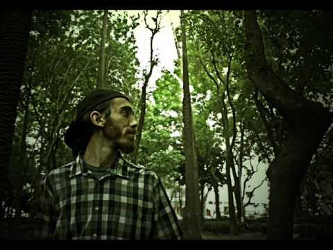 Lengualerta - Reverdeciendo
