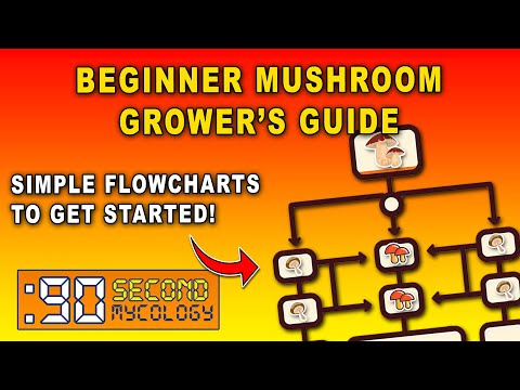 The Ultimate Beginner’s Guide to Farming Fungi | EASY Flowcharts