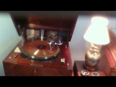 Golden Gate Orchestra (California Ramblers): Dusting The Donkey