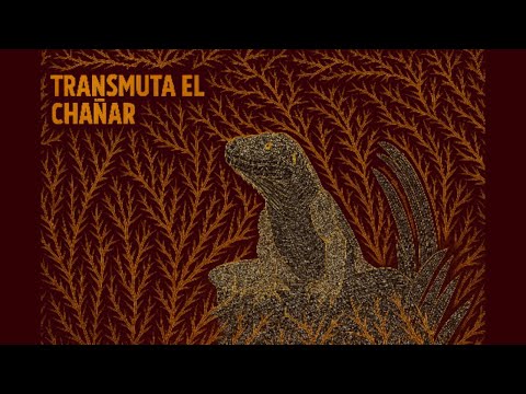 TRANSMUTA EL CHAÑAR "coplas reales del sentir"