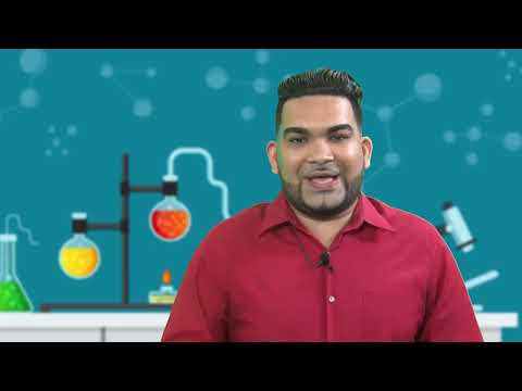 Science - Grade 8: Respiration