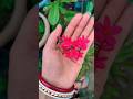 Duttapriya flower growth #flowers #viral #gardening #california #transitionvideo #shorts #usa