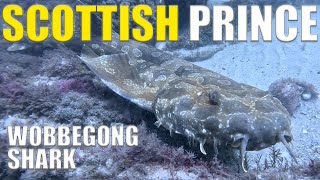 Australia Shipwrecks - SV Scottish Prince On Gold Coast 🇦🇺