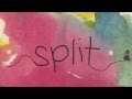 SPLIT: A film about divorce for children and thier parents