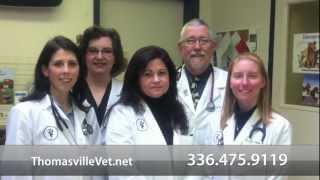 preview picture of video 'Welcome to Thomasville Veterinary Hospital - Thomasville, NC'