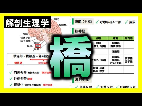 テレネス橋について詳しく解説