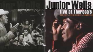 Junior Wells & Phil Guy   ~    Live At Theresa's 1975 ( Full Album )