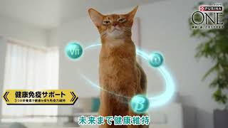 「ピュリナ ワン」健康免疫サポートおやつ 新ラインナップ 6秒Ver.