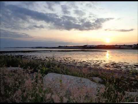 Johnny Logan  - The Fields of Athenry