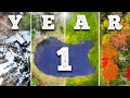 Year 1 Of Building The Wildlife Homestead