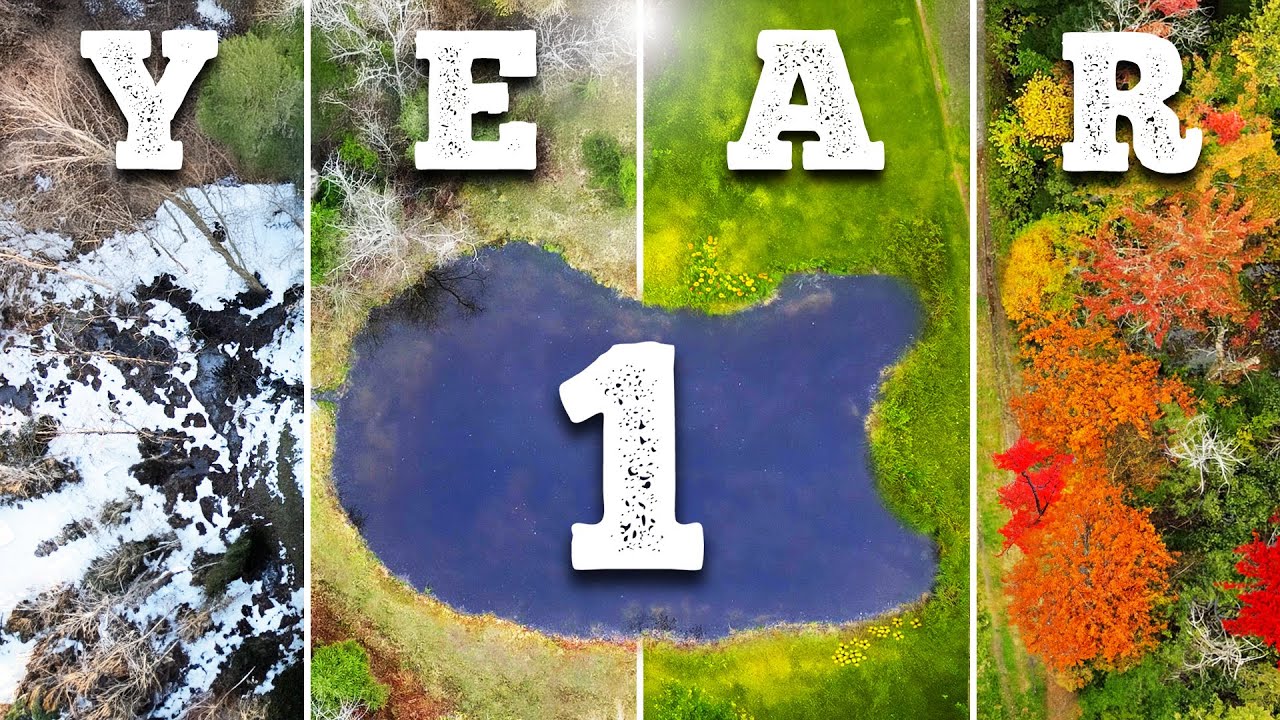 Year 1 of Building The Wildlife Homestead