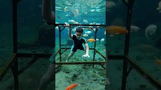 Download lagu Umbul Ponggok mp3
