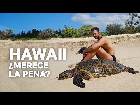 Las islas más bellas de Hawai