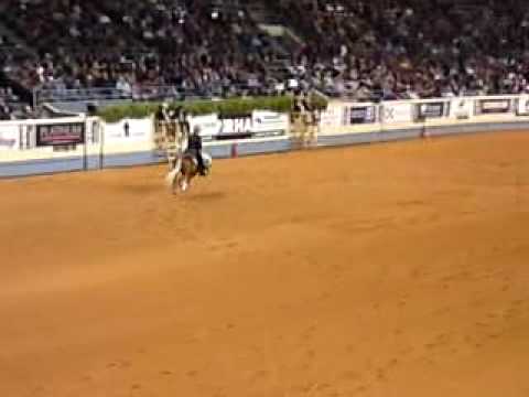 Shawn Flarida-Wimpy's Show Stopper