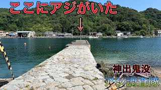アジを発見！この堤防の魚影が濃かった！【神出鬼没！アジ調査隊#1】