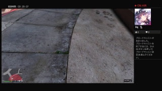 のんびりとGTA5 参加ok　ID：Qxrlly