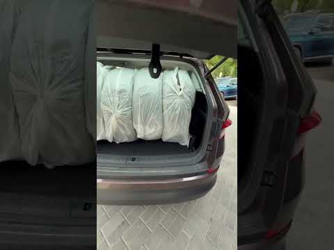фото skoda kodiaq i 0