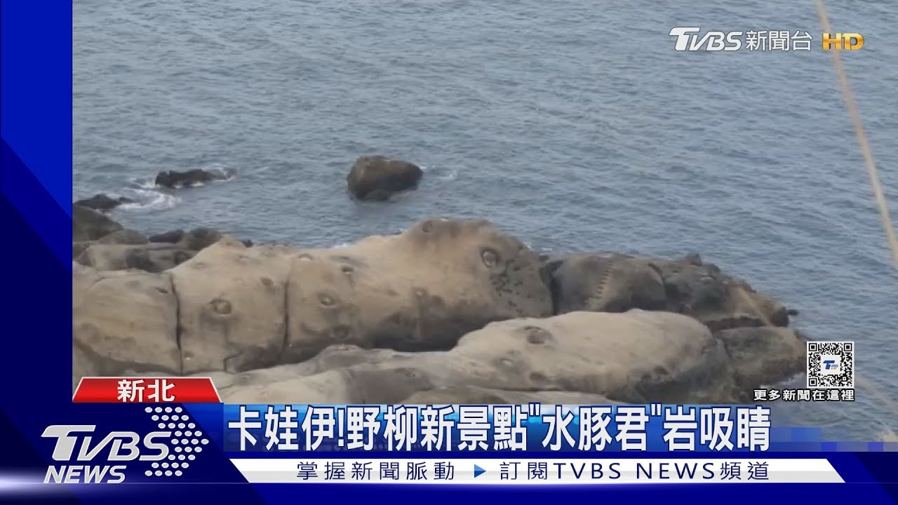 卡娃伊!野柳新景點「水豚君」岩吸睛 爆熱夜訪女王夯