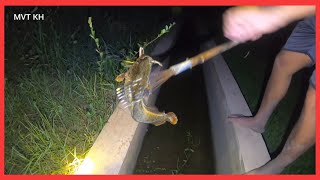 Night fishing !! Amazing Fish Hunting​ by mvtkh