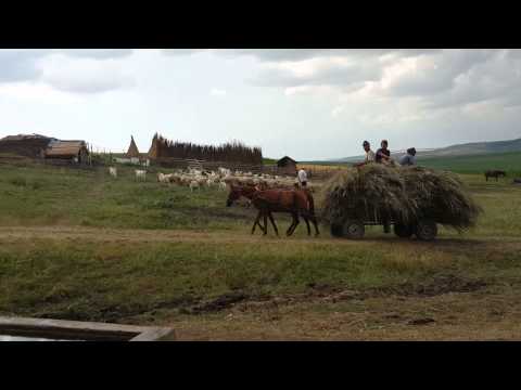 Blagesti Vaslui 2014. La podiș