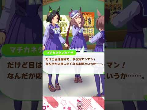 マチカネタンホイザ誕生日トーク！タイシンとチケットの魅力とは？