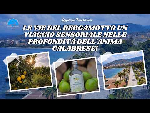 Le Vie del Bergamotto Un Viaggio Sensoriale nelle Profondità dell'Anima Calabrese!
