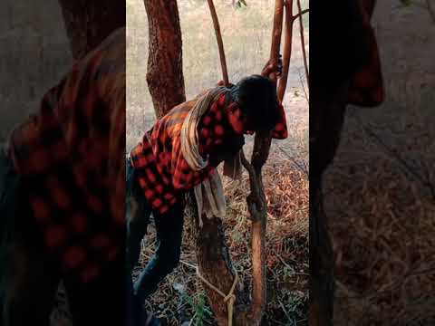 ak kutte ke ,bachche ki jaan bachayee bhaion👍