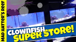 I Don't want to be a Clownfish Store