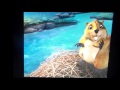 JumpStart Animal Adventures Part 1